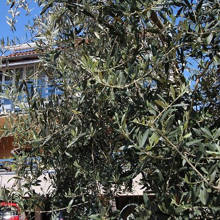רוביני Linea Mare Apartment מראה חיצוני תמונה
