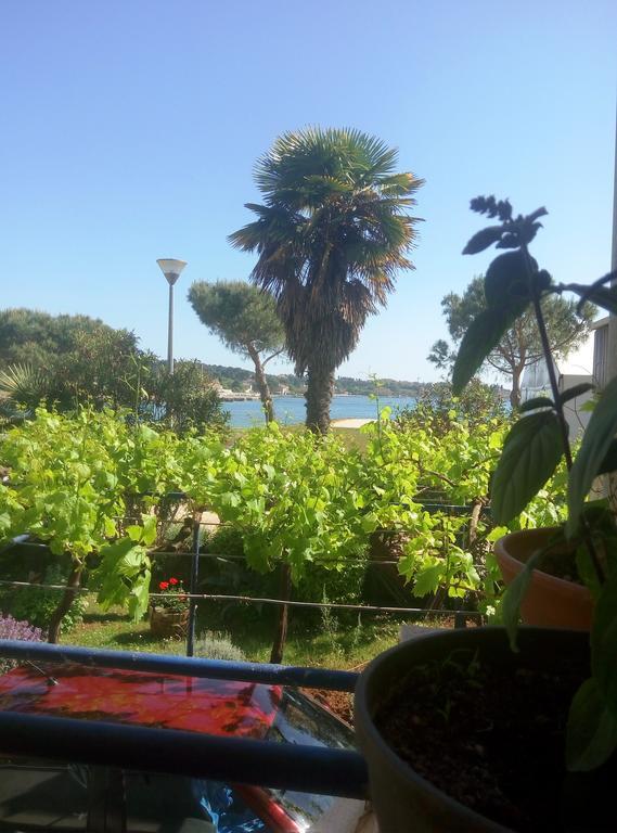 רוביני Linea Mare Apartment מראה חיצוני תמונה
